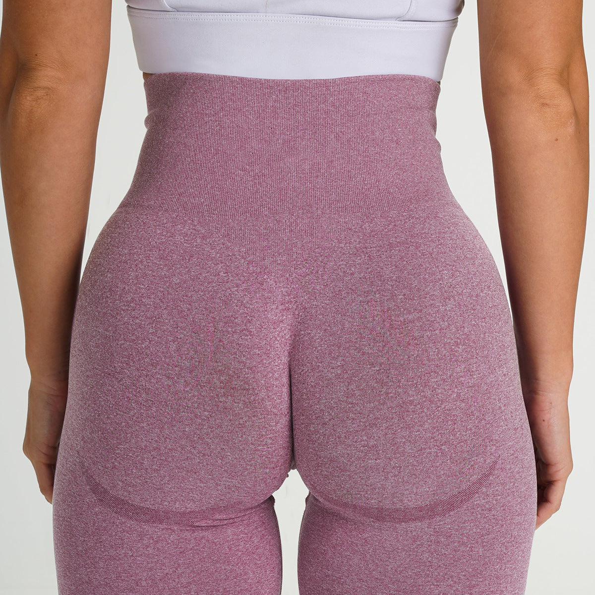 Seamless Knit Yoga Pants for Women | Moisture Wicking | Womenswear